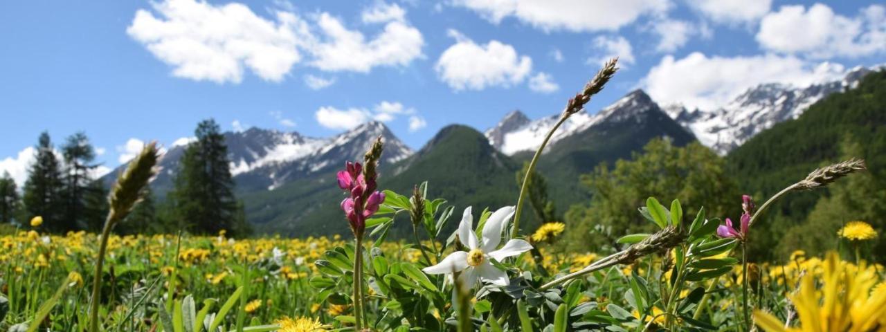 Nice Appt In Briancon Les Charmettes 外观 照片
