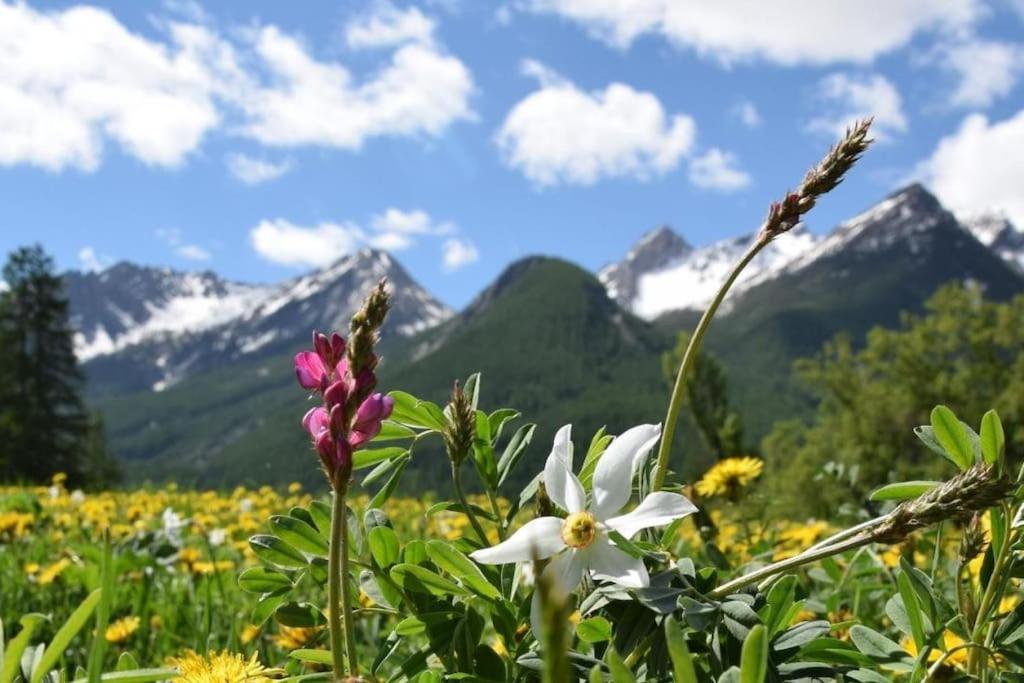 Nice Appt In Briancon Les Charmettes 外观 照片